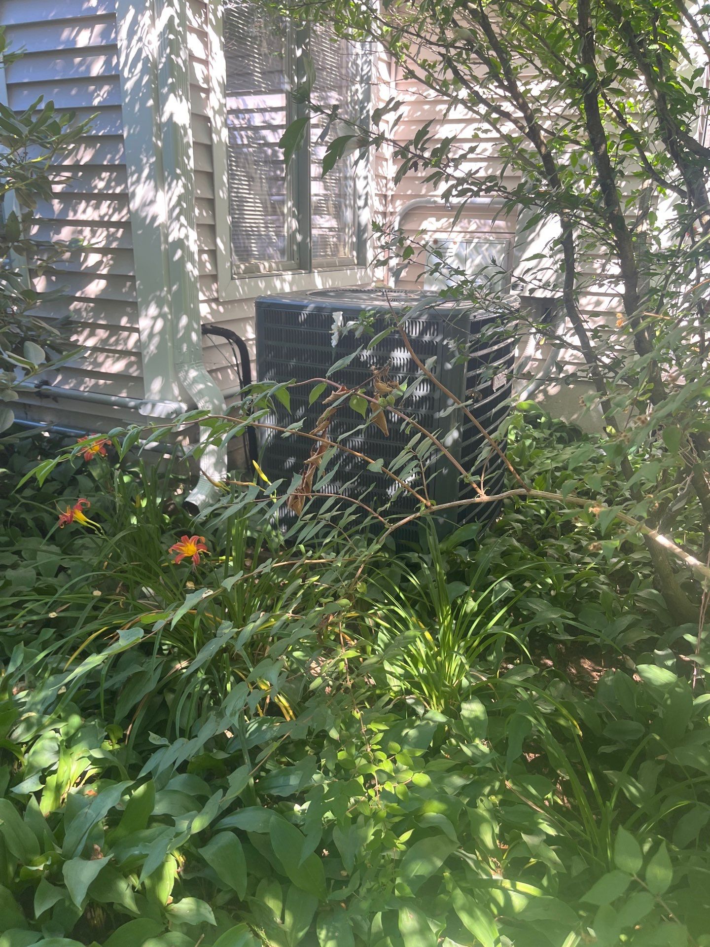 Hamilton Project Spotlight: Annual AC Service